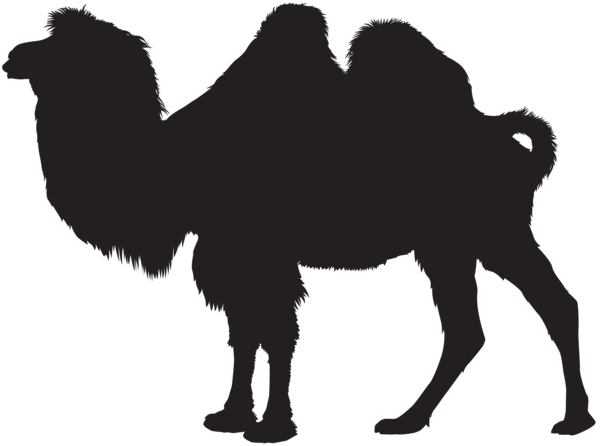 This png image - Camel Silhouette PNG Clip Art Image, is available for free download