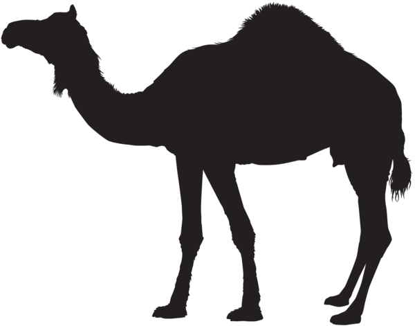 This png image - Camel Silhouette Transparent PNG Clip Art, is available for free download