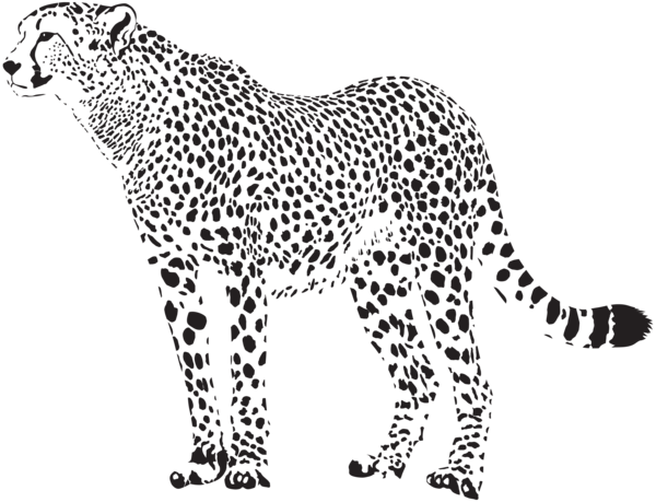 This png image - Cheetah Silhouette PNG Transparent Clip Art Image, is available for free download