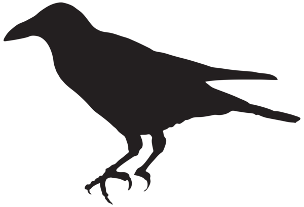 Crow Silhouette PNG Clip Art Image | Gallery Yopriceville - High ...