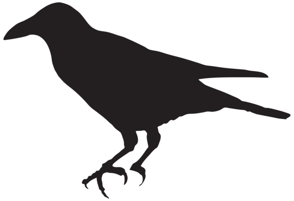 This png image - Crow Silhouette PNG Clip Art Image, is available for free download