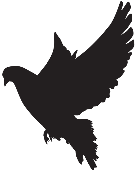 This png image - Dove Silhouette PNG Clip Art Image, is available for free download