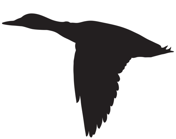 This png image - Duck Flying Silhouette PNG Clip Art Image, is available for free download