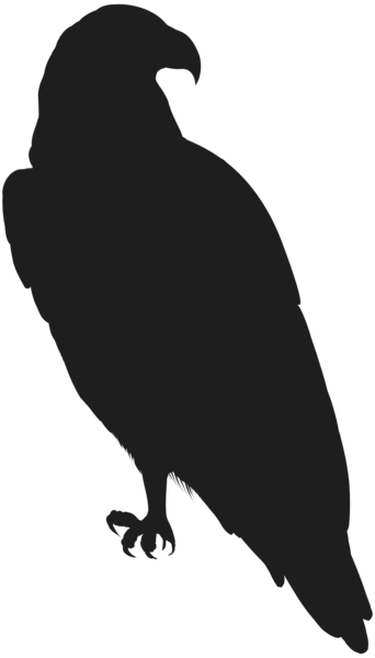 This png image - Eagle PNG Clip Art Image, is available for free download