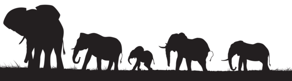 This png image - Elephants Silhouette PNG Clip Art Image, is available for free download