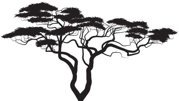 This png image - Exotic Tree Silhouette PNG Clip Art Image, is available for free download