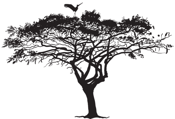 This png image - Exotic Tree and Bird Silhouette PNG Clip Art Image, is available for free download