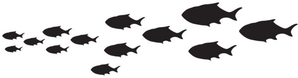 This png image - Fish Passage Silhouette PNG Clip Art Image, is available for free download
