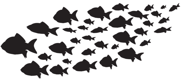 This png image - Fish Passage Silhouette PNG Clipart, is available for free download