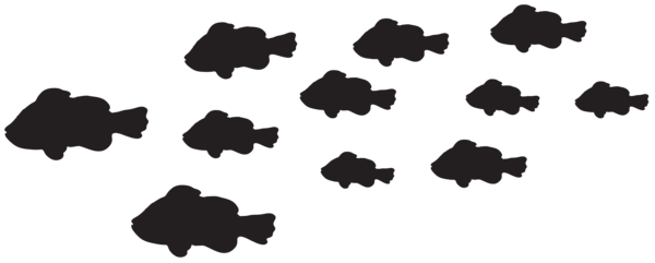 This png image - Fishes Silhouette PNG Clip Art Image, is available for free download