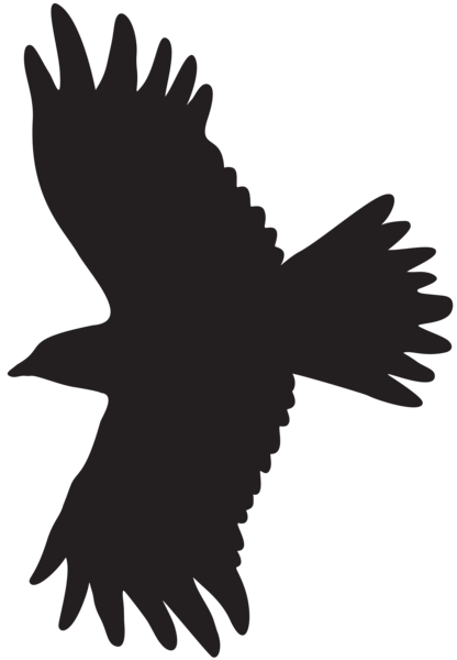 This png image - Flying Bird Silhouette PNG Clipart, is available for free download