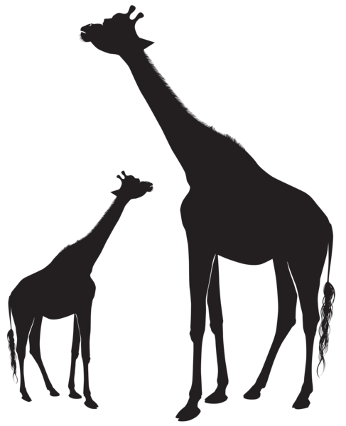 This png image - Giraffes Silhouette PNG Clip Art Image, is available for free download