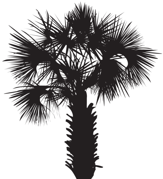 This png image - Palm Tree Silhouette Clip Art PNG Image, is available for free download