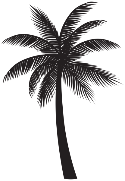 This png image - Palm Tree Silhouette PNG Transparent Clipart, is available for free download