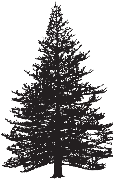 This png image - Pine Tree Silhouette Clip Art Image, is available for free download