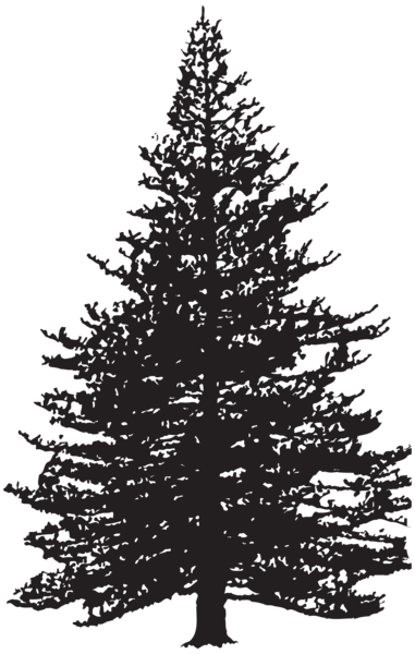 Pine Tree Silhouette Clip Art Image | Gallery Yopriceville - High