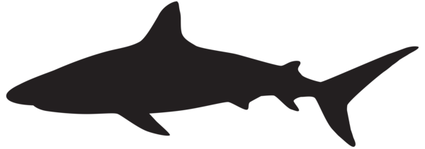 This png image - Shark Silhouette PNG Clip Art Image, is available for free download
