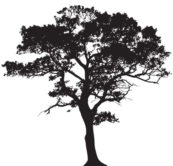 This png image - Silhouette Tree PNG Clip Art Image, is available for free download