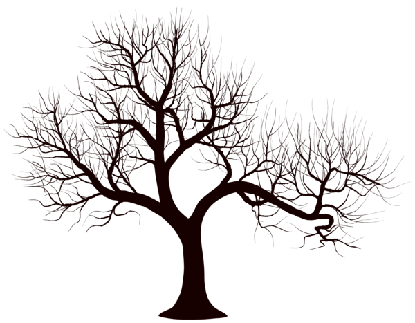 This png image - Tree Silhouette Leafless PNG Transparent Clipart, is available for free download