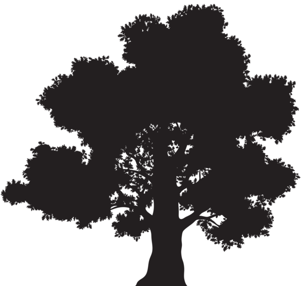 This png image - Tree Silhouette PNG Clip Art, is available for free download