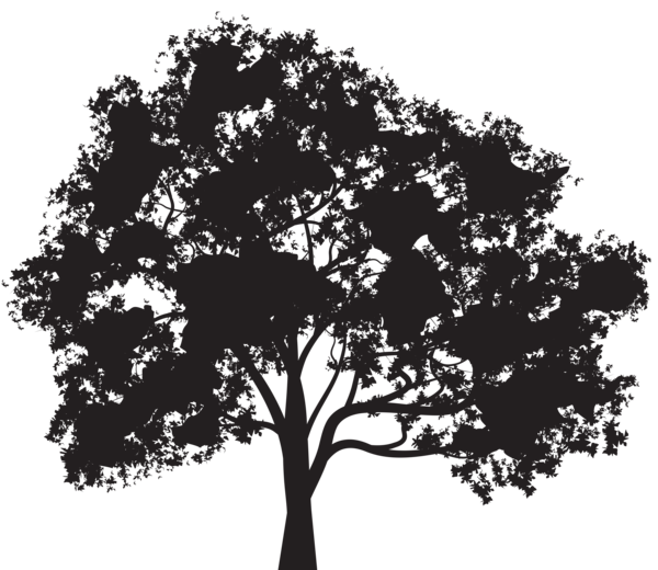 This png image - Tree Silhouette PNG Clip Art Image, is available for free download