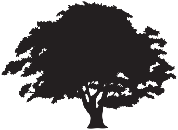 This png image - Tree Silhouette PNG Transparent Clipart, is available for free download