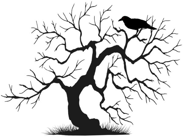This png image - Tree with Bird Silhouette PNG Clipart, is available for free download