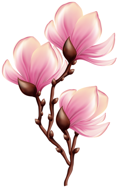 This png image - Beautiful Blooming Branch Transparent PNG Clip Art Image, is available for free download