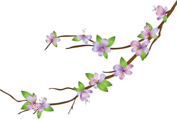 This png image - Blooming Branch PNG Clip Art Image, is available for free download