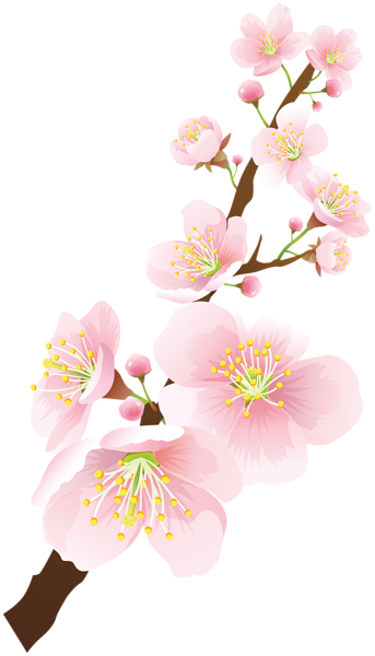 This png image - Blooming Spring Branch PNG Clip Art Image, is available for free download