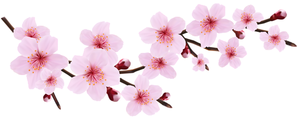 This png image - Blossom Spring Pink Twig Transparent PNG Clip Art Image, is available for free download