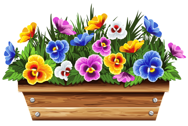 This png image - Box with Violets PNG Clipart Picture, is available for free download