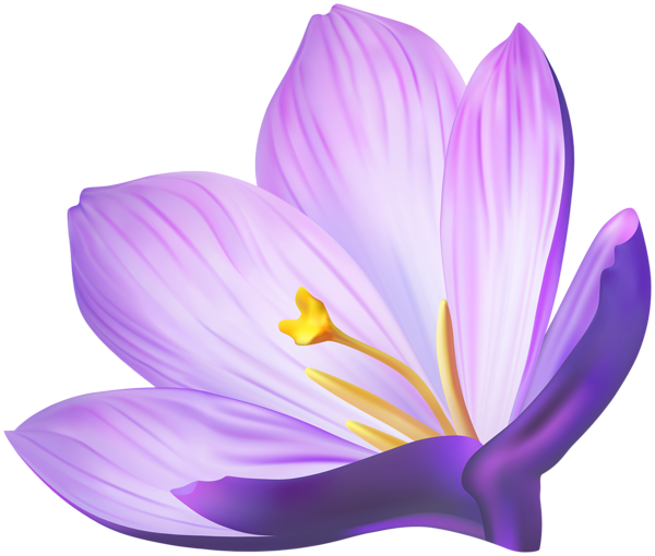This png image - Crocus Flower PNG Clipart, is available for free download
