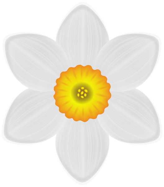 This png image - Daffodil PNG Transparent Clipart, is available for free download