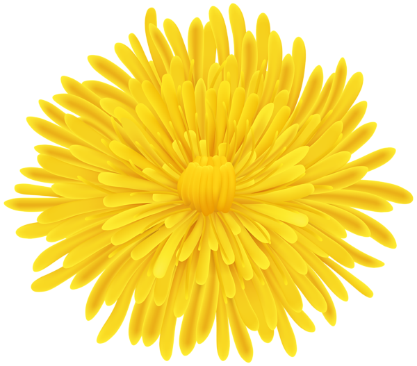 This png image - Dandelion PNG Transparent Clipart, is available for free download