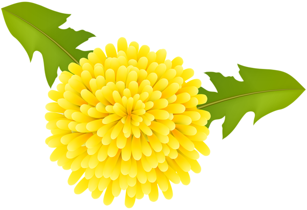 This png image - Dandelion Transparent Clip Art Image, is available for free download
