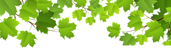 This png image - Decorative Leaves Transparent PNG Clip Art Image, is available for free download