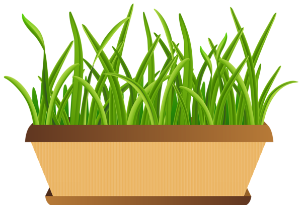 This png image - Flowerpot with Grass Transparent PNG Clip Art Image, is available for free download