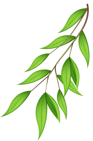 This png image - Green Branch PNG Transparent Clip Art Image, is available for free download