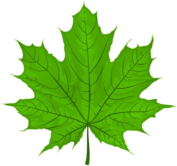 This png image - Green Leaf PNG Clipart, is available for free download