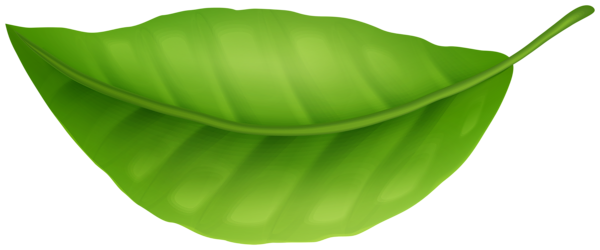 This png image - Green Leaf PNG Clipart, is available for free download