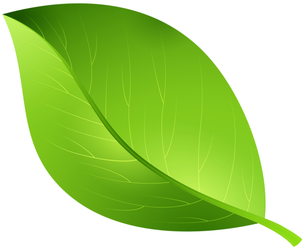 This png image - Green Leaf Transparent PNG Clip Art Image, is available for free download