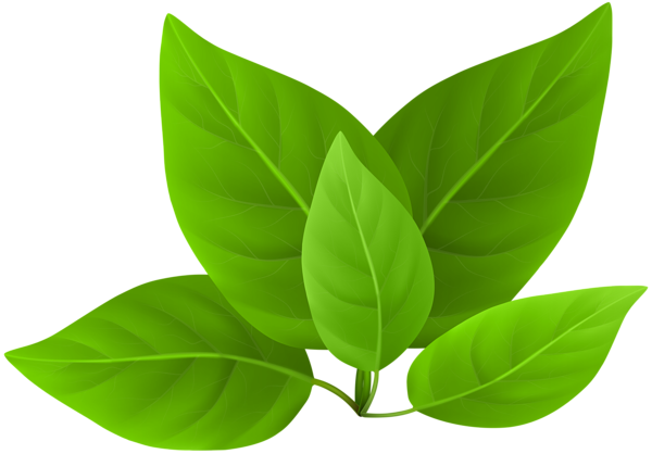 This png image - Green Leaves PNG Clip Art, is available for free download
