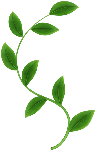 This png image - Green Leaves on Stem PNG Clipart, is available for free download