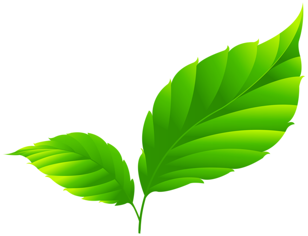 This png image - Green Spring Leaves PNG Clipart, is available for free download