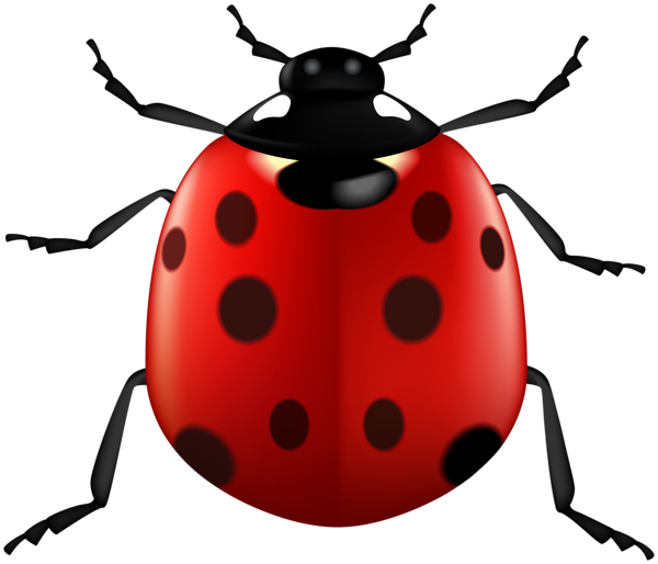 This png image - Lady Bug PNG Clipart, is available for free download