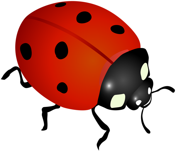 Ladybug Clip Art Image | Gallery Yopriceville - High ...