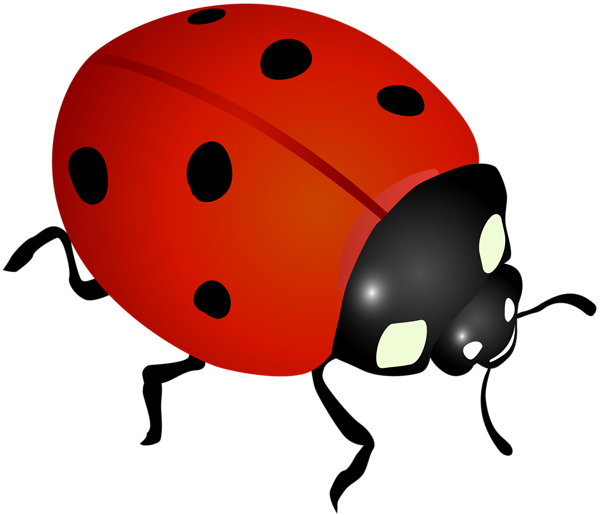 Free Free 328 Transparent Background Ladybug Svg Free SVG PNG EPS DXF File