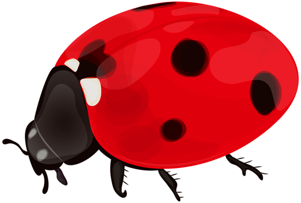 This png image - Ladybug PNG Clip Art, is available for free download