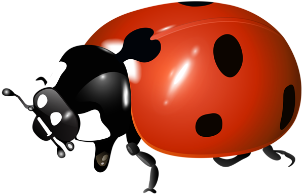 This png image - Ladybug Transparent Clipart Image, is available for free download